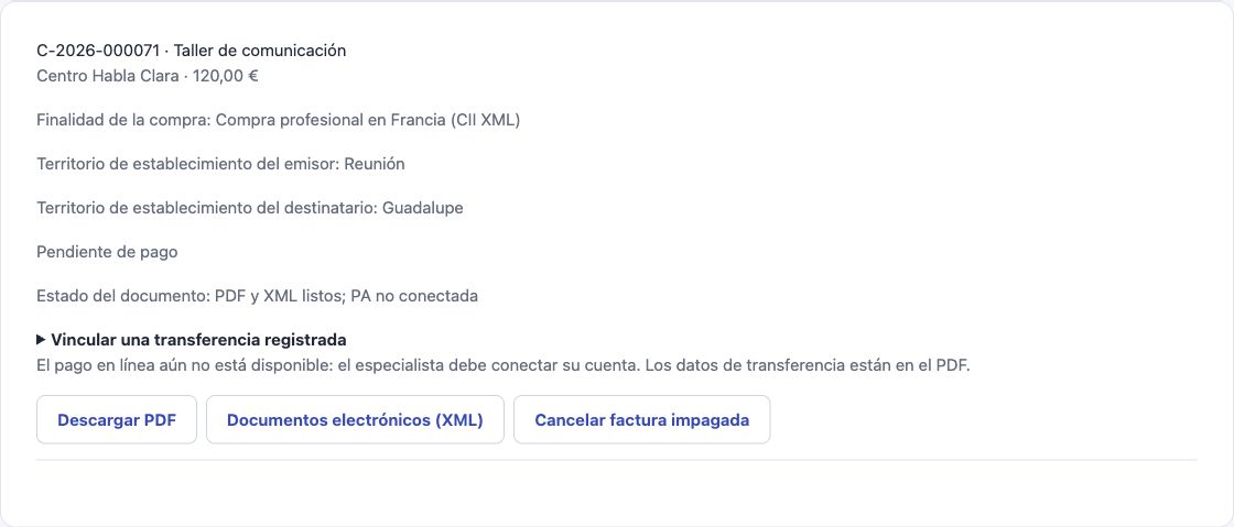 Tarjeta real de Cadenivo en español con botones PDF y CII XML para una factura profesional de Francia.
